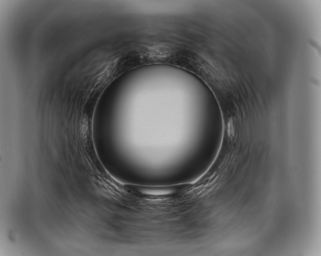 X0000098221299200804241335