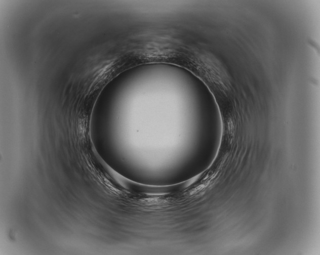X0000098221300200804241335