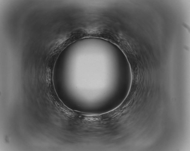 X0000098221301200804241335