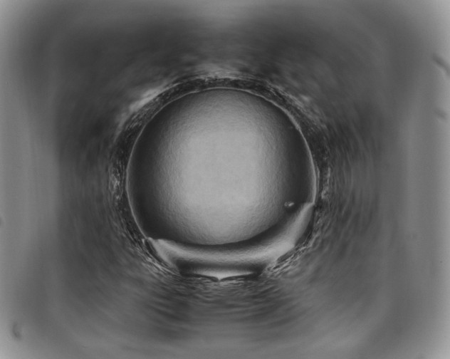 X0000098221303200804241335