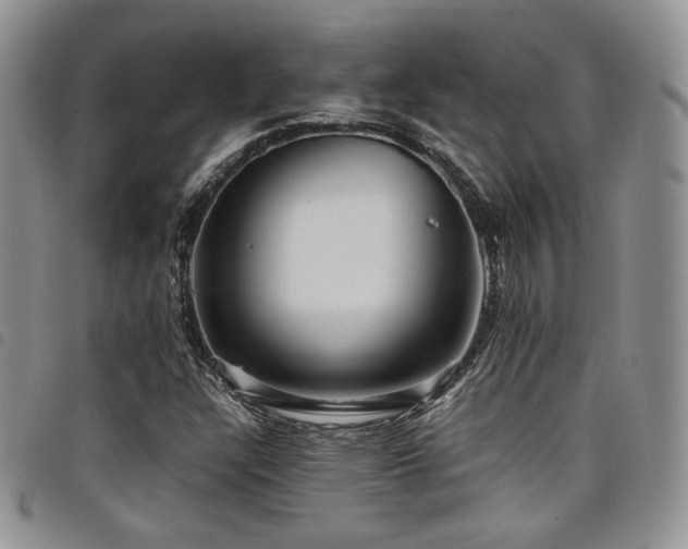 X0000098221304200804241335