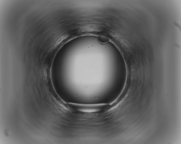 X0000098221305200804241335