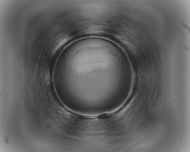 X0000098221306200804241335