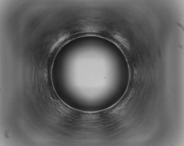 X0000098221307200804241335