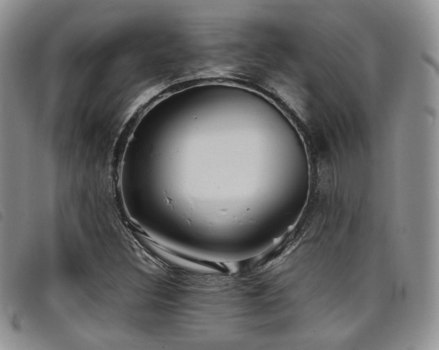 X0000098221308200804241335