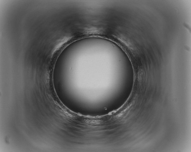 X0000098221309200804241335