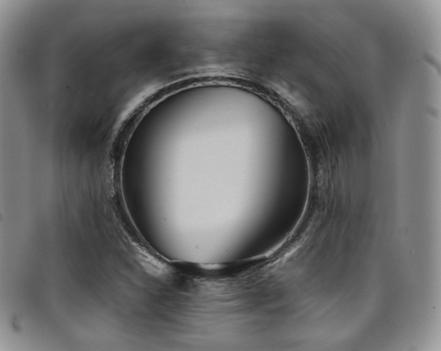 X0000098221310200804241335