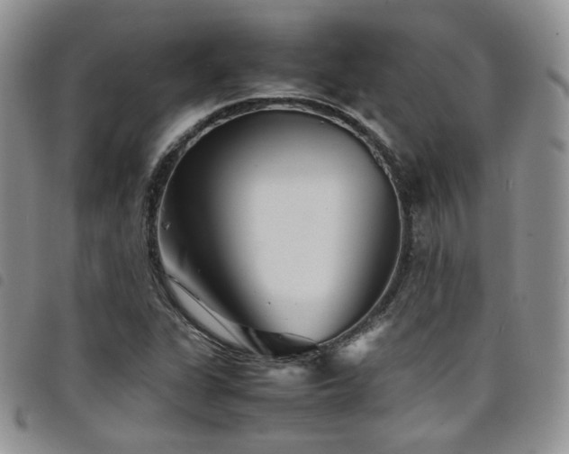 X0000098221311200804241335