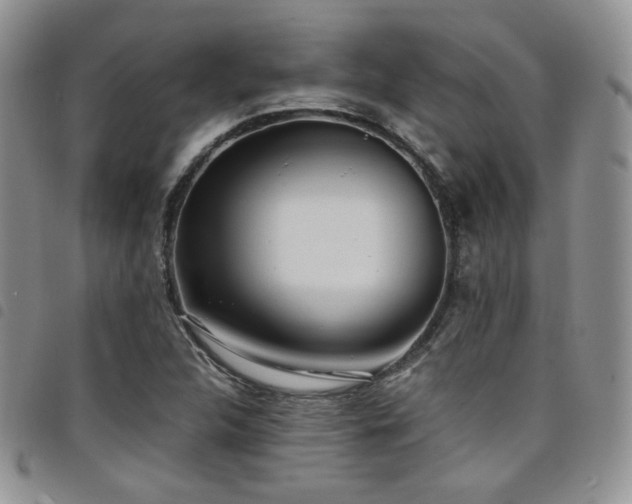 X0000098221312200804241335