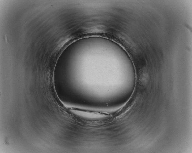 X0000098221313200804241335