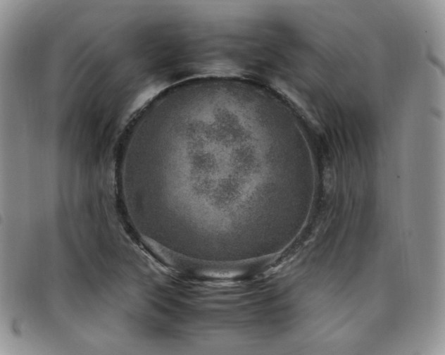 X0000098221315200804241335
