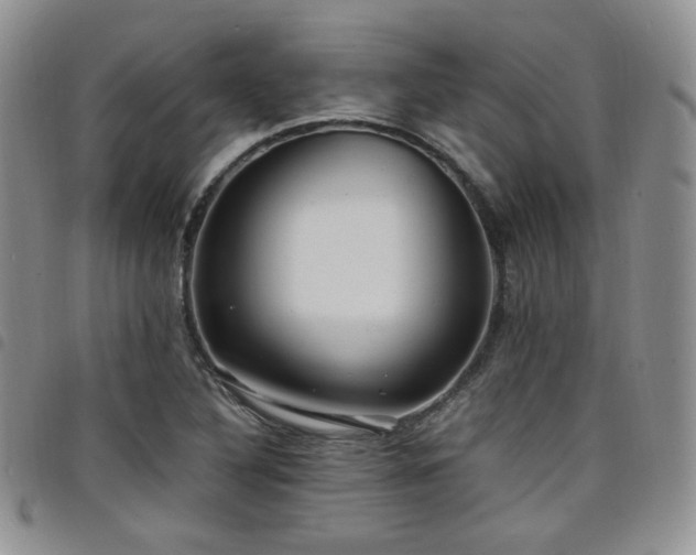 X0000098221316200804241335