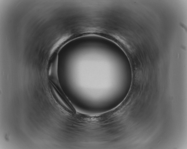 X0000098221317200804241335