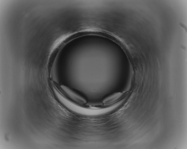 X0000098221319200804241335