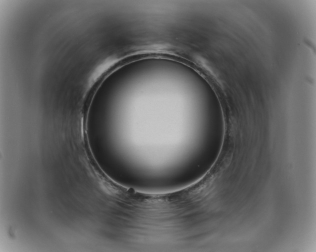 X0000098221320200804241335