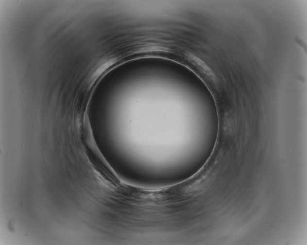 X0000098221321200804241335