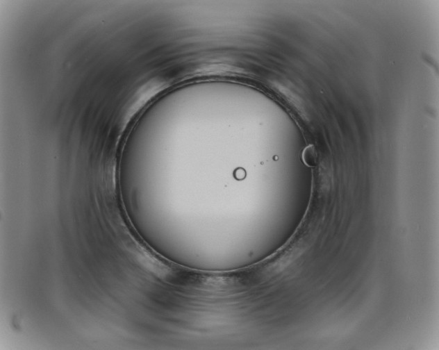 X0000098221322200804241335