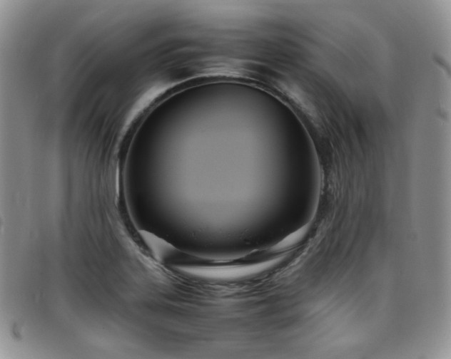X0000098221323200804241335