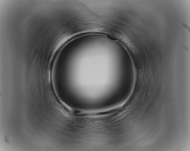 X0000098221324200804241335