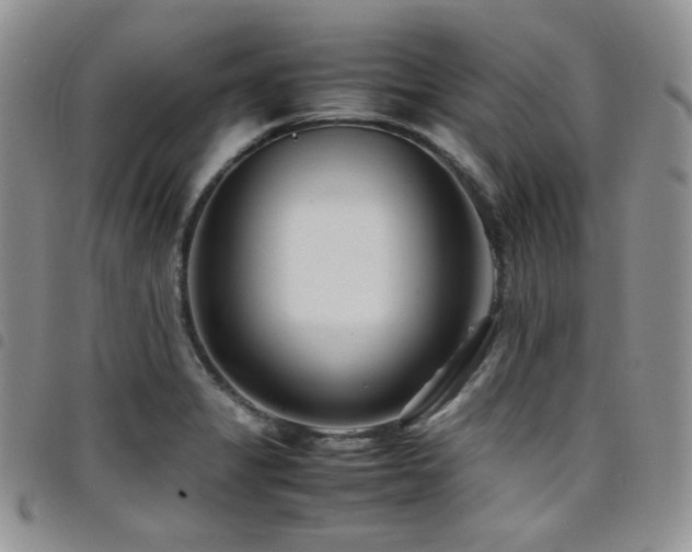 X0000098221325200804241335