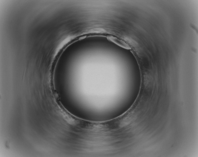 X0000098221326200804241335