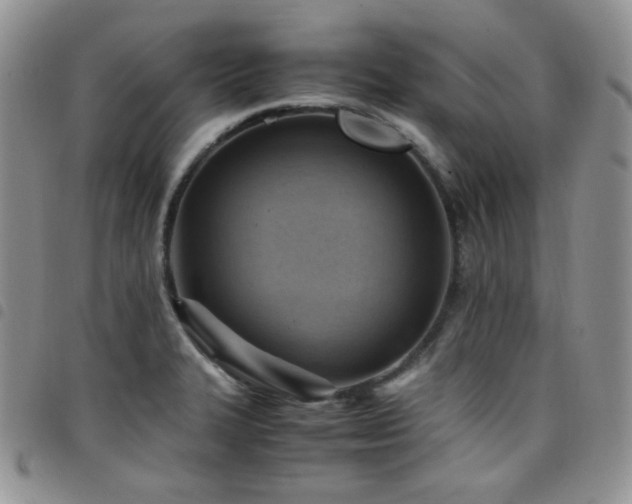 X0000098221327200804241335