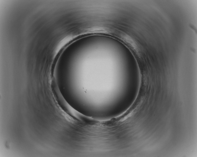 X0000098221328200804241335