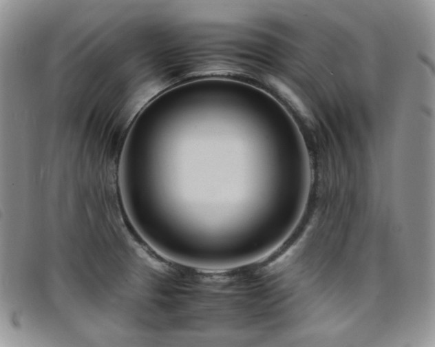 X0000098221329200804241335