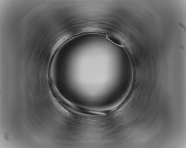 X0000098221330200804241335
