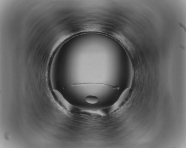 X0000098221331200804241335