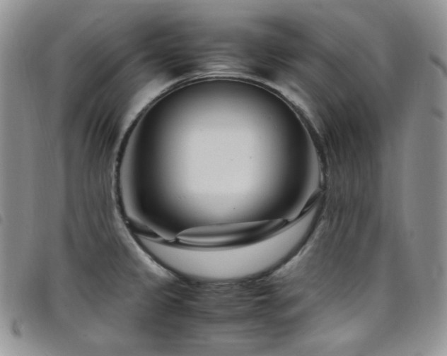 X0000098221333200804241335