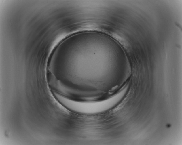 X0000098221334200804241335