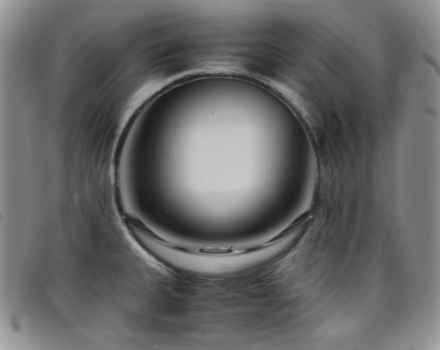 X0000098221335200804241335