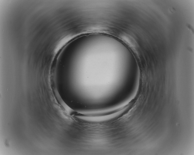 X0000098221336200804241335