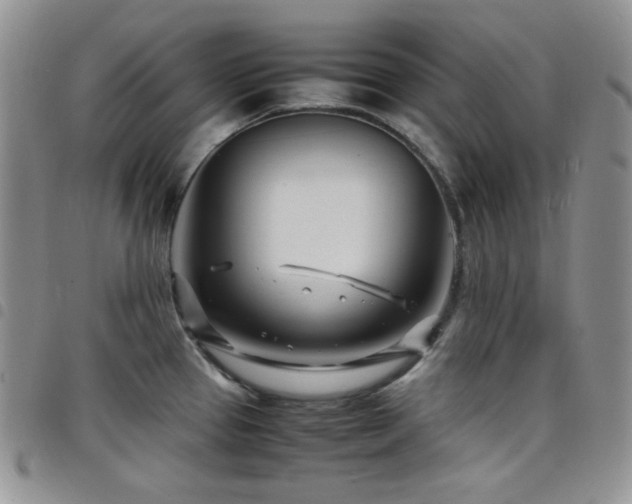 X0000098221337200804241335