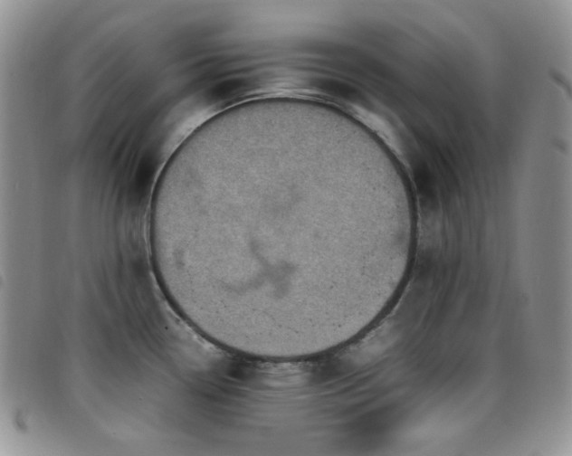X0000098221338200804241335