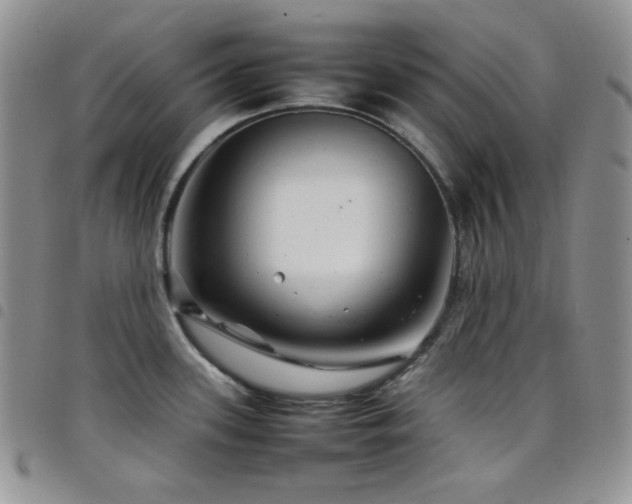 X0000098221339200804241335