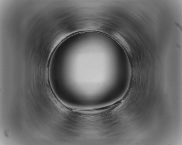 X0000098221340200804241335