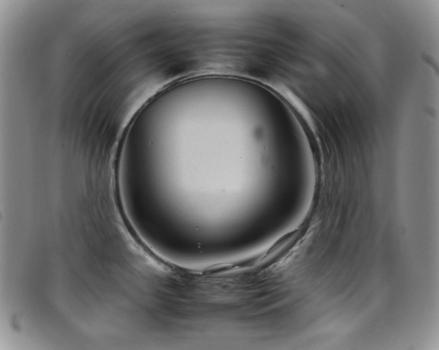 X0000098221341200804241335
