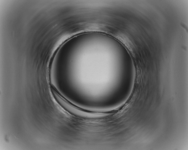 X0000098221342200804241335