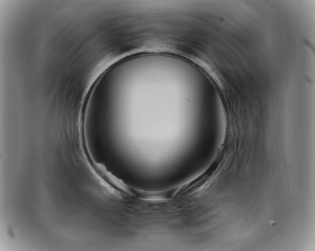 X0000098221343200804241335
