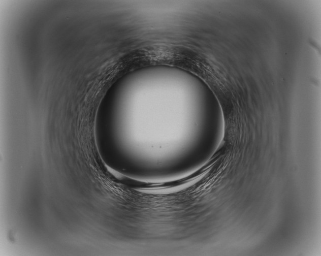 X0000098221345200804241335