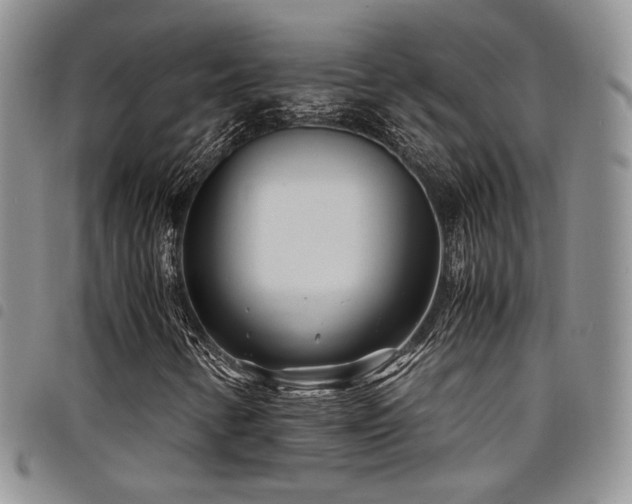 X0000098221346200804241334