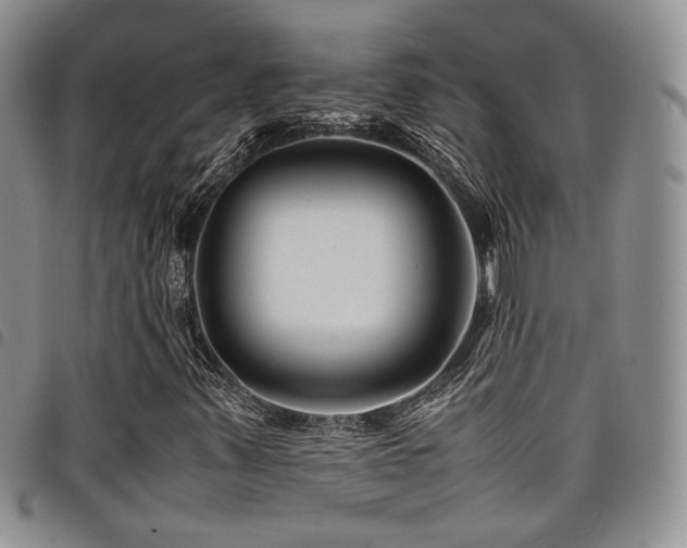 X0000098221347200804241334