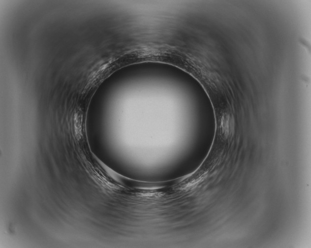 X0000098221348200804241334
