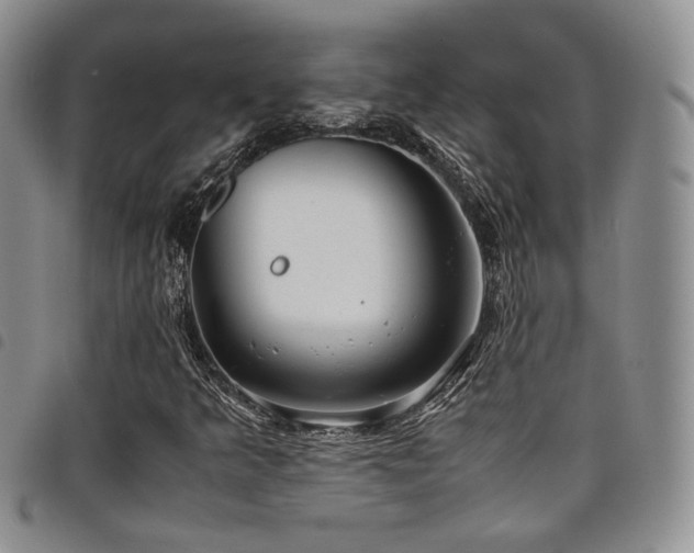 X0000098221349200804241334