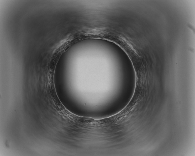 X0000098221350200804241334