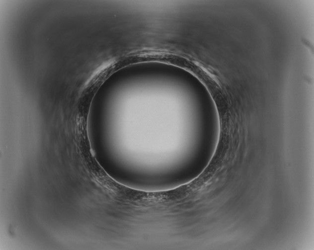 X0000098221351200804241334