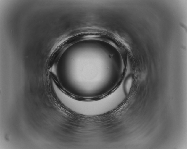 X0000098221352200804241334