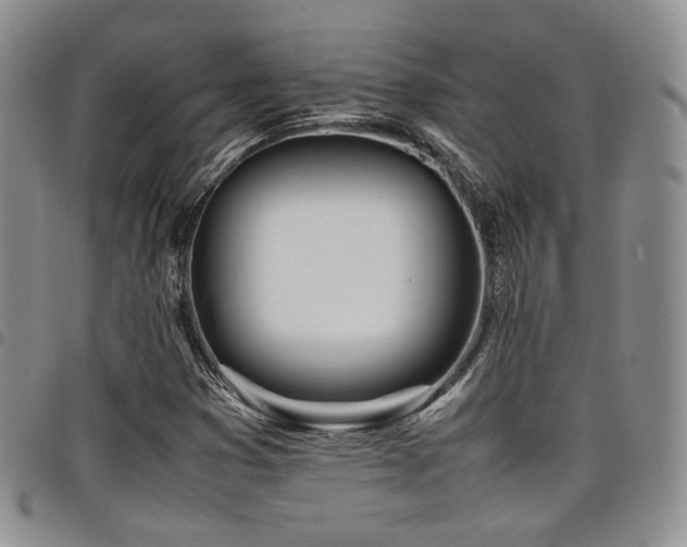 X0000098221353200804241334